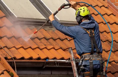 Démoussage et hydrofuge de toiture à Brizon